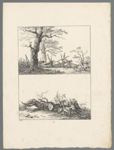 Landscape with dilapidated fencing and a tree stump