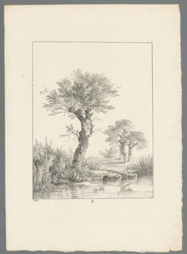 Landscape with a tree by the water