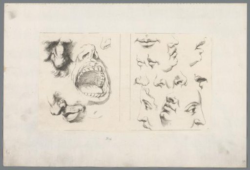 Studies of Mouths, Noses and Eyes