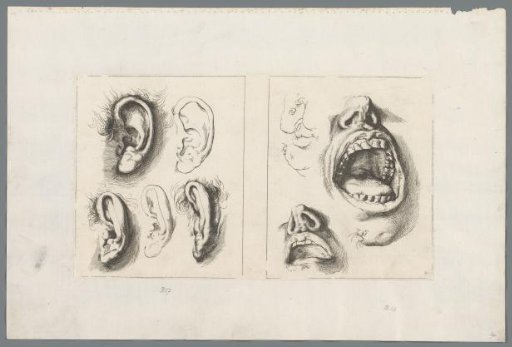 Studies of Ears, Two Mouths and a Nose