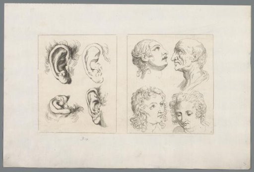 Four Studies of Ears and Four Faces