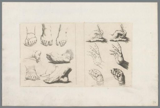 Studies of Feet and Hands
