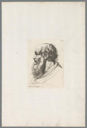 Head of a Bearded Man