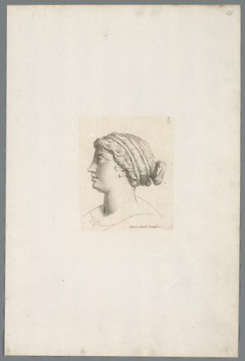 Head of a Woman Looking Sideways