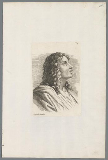 Head of a young man with long curly hair