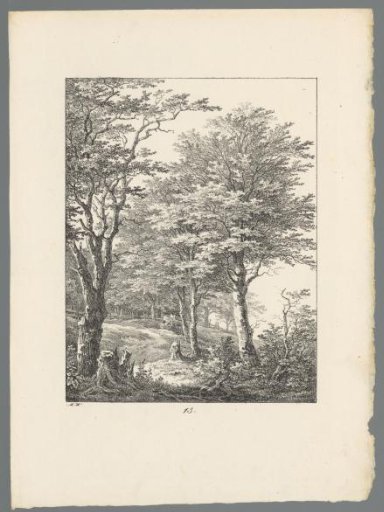 Landscape with trees