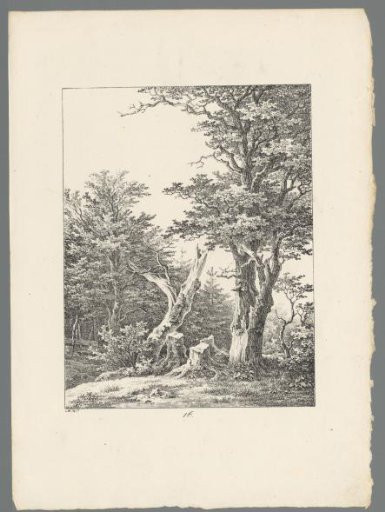 Landscape with trees