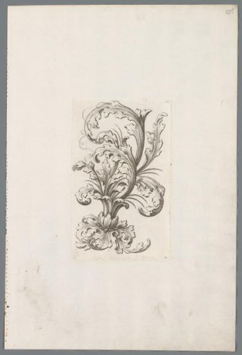 Acanthus motif with a flower