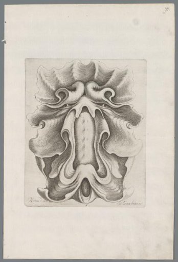 Ornament in the rococo style