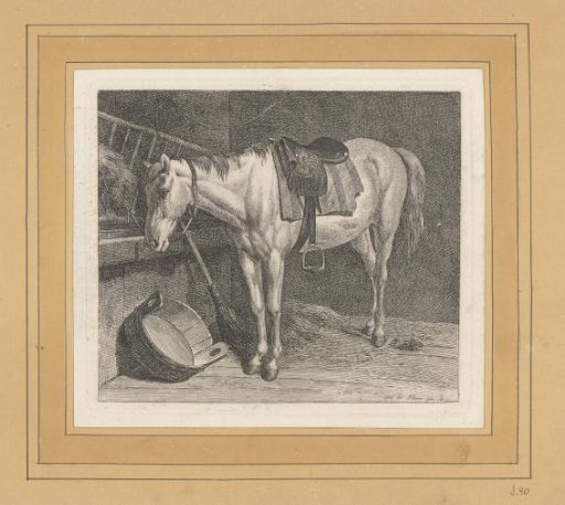 Horse Tethered in a Stable