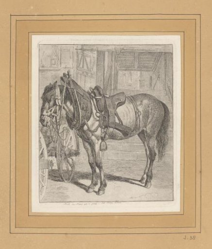 Draft Horse at a Staircase