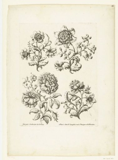 Four sprigs with flowers