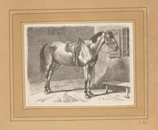 Horse Tethered to a Grating