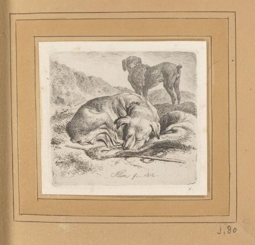 Sleeping Dog