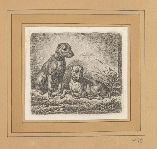 Two Dogs