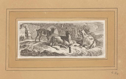 Three Goats near a Ruin