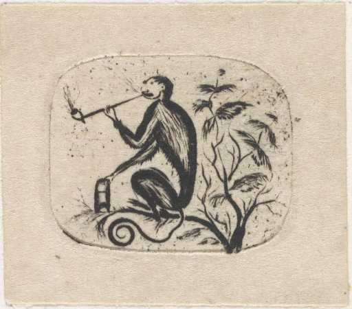 Monkey smoking a pipe on a branch