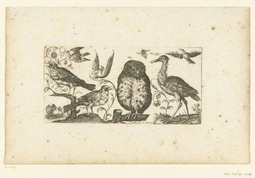 Nine Birds and an Insect