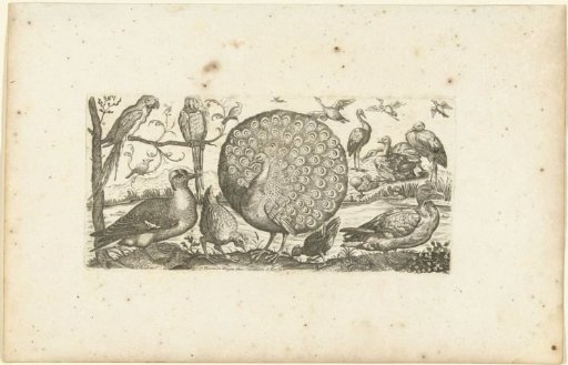 Eighteen Birds
