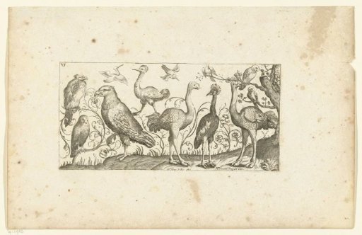 Twelve Birds