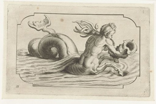 Seahorse with a male upper body