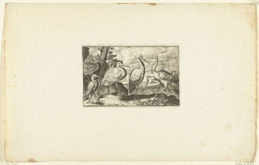 Stork between two other birds