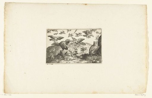Standing owl and owl being attacked by birds