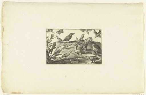 A heron with various birds