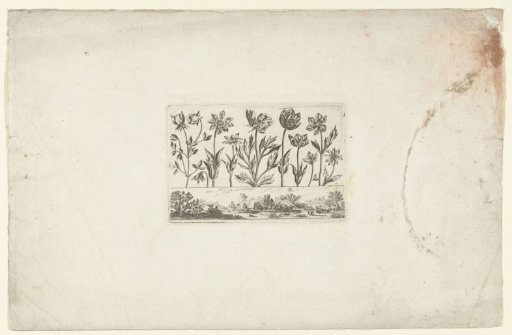 Row of flowers above a landscape
