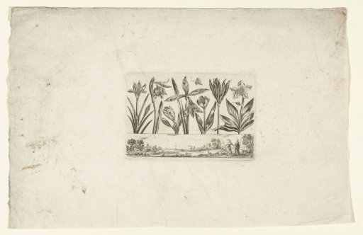 Row of flowers above a landscape