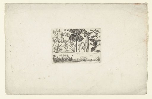 Row of flowers above a landscape