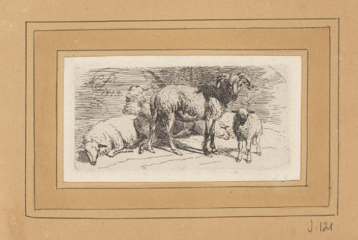 Ram with a Lamb and Three Sheep