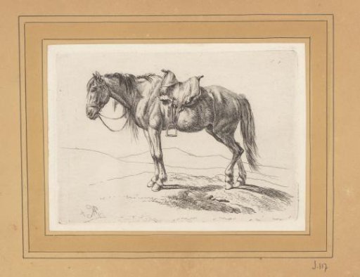 Horse with Hungarian Saddle