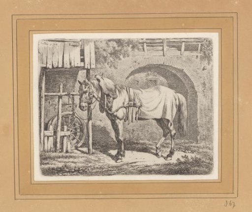Draft horse tethered to a barn