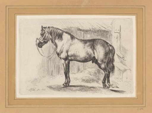 Stallion tethered to a water pump
