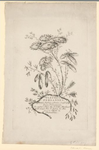 Flat flowers