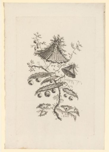 Round and triangular flowers