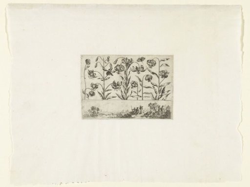 Fan-shaped flowers