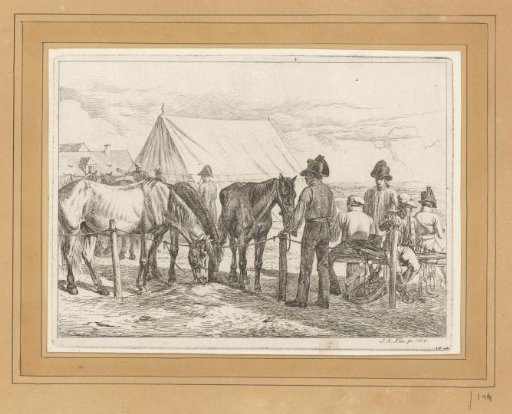 Horses being fed at the tent