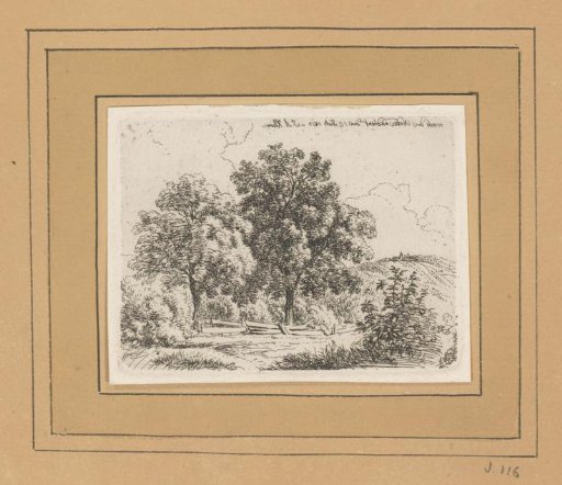 Landscape with trees