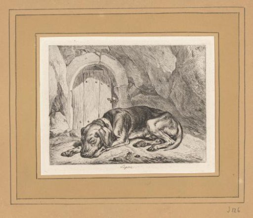 Reclining Dog by a Cellar Door