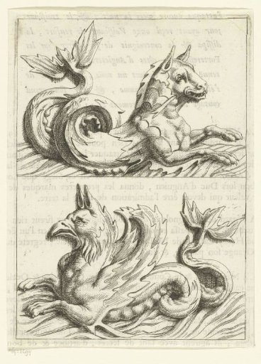 Two sea creatures