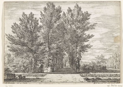 View of a shady avenue