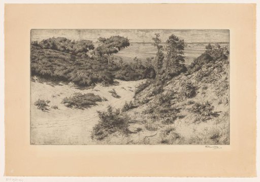 Dune landscape