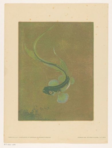 Swimming fish