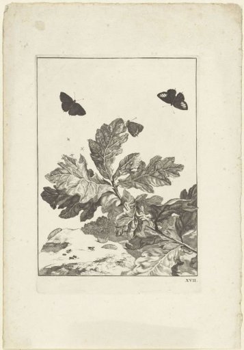 Flying butterflies and other insects above a branch with leaves