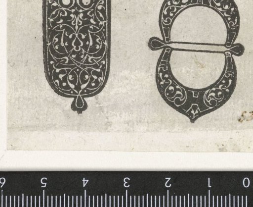Costume ornament and a buckle