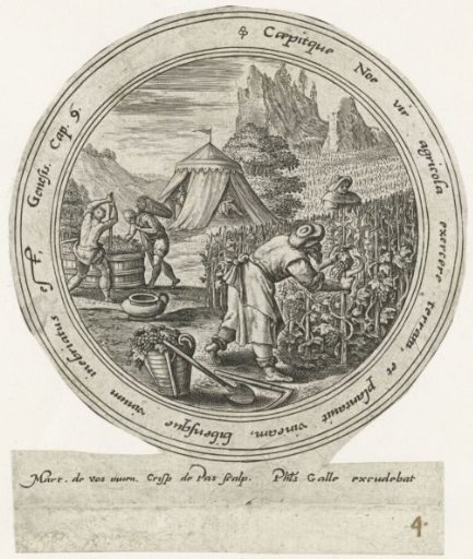 Noah Plants a Vineyard