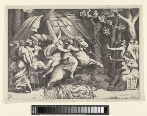 Cloelia Crosses the Tiber
