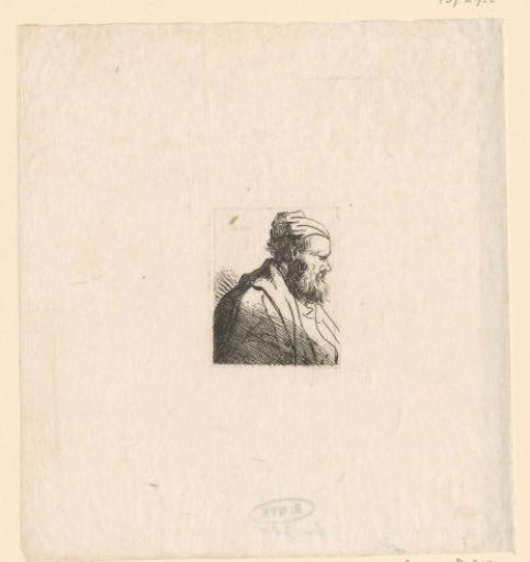 Head of a man in profile with beard and blunt nose